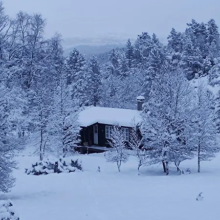 I Tonstad